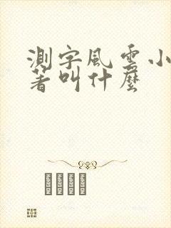 测字风云小说原著叫什么