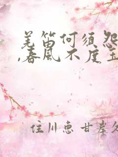 羌笛何须怨杨柳,春风不度玉门关修辞