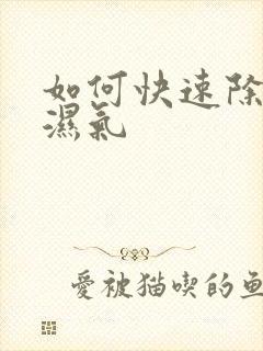 如何快速除体内湿气