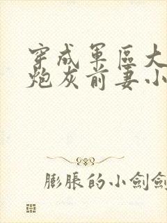 穿成军区大佬的炮灰前妻小说