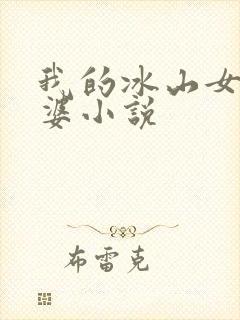 我的冰山女神老婆小说