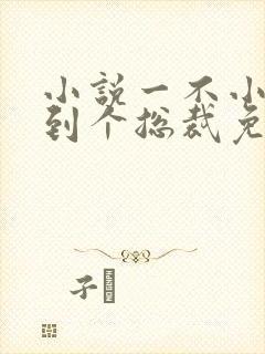 小说一不小心捡到个总裁免费阅读