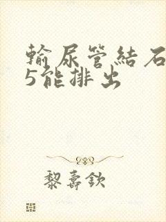 输尿管结石0.5能排出