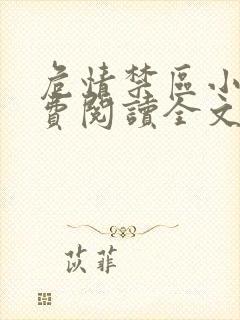 危情禁区小说免费阅读全文最新章节