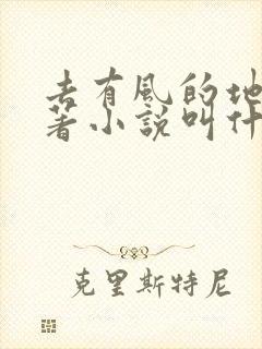 去有风的地方原著小说叫什么名字