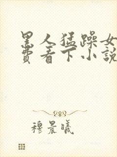 黑人猛躁女人免费看下小说