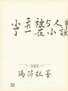 小柔被5人糟蹋了一夜小说