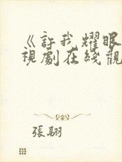 《许我耀眼》电视剧在线观看免费