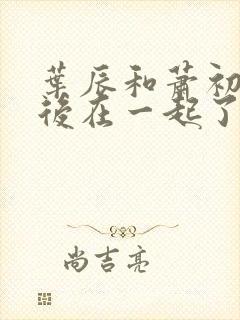 叶辰和萧初然最后在一起了吗?