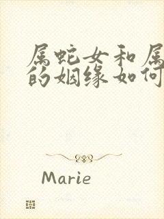 属蛇女和属狗男的姻缘如何