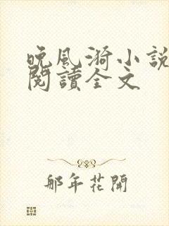 晚风漪小说免费阅读全文