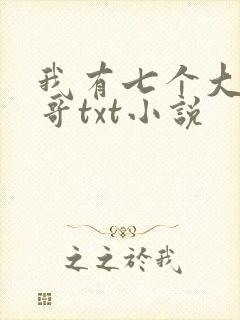 我有七个大佬哥哥txt小说