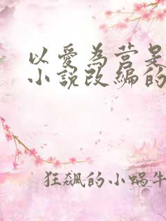 以爱为营是什么小说改编的