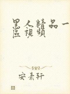 黑人精品一区二区视频