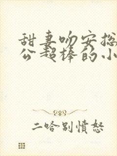 甜妻吻安总裁老公超棒的小说