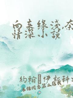 向来缘浅,奈何情深小说