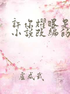 许你耀眼是哪部小说改编的