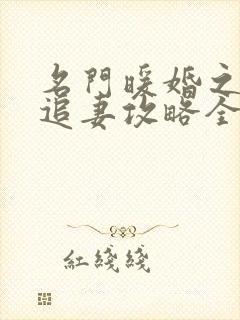 名门暖婚之权爷追妻攻略全文txt