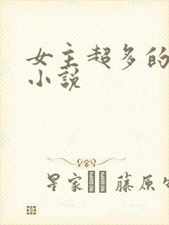 女主超多的后宫小说