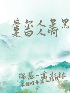 摩尔人是黑人还是白人啊