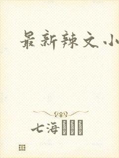 最新辣文小说网