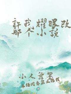 许我耀眼改编自哪个小说