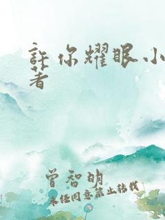 许你耀眼小说原著