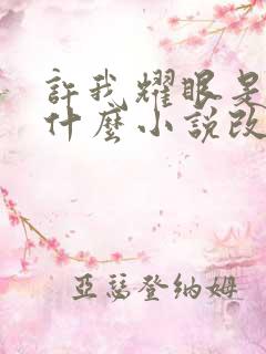 许我耀眼是根据什么小说改编