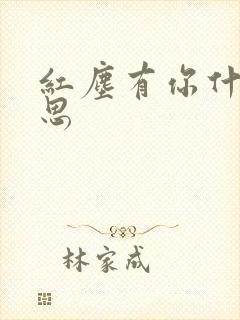 红尘有你什么意思