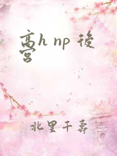 高h np 后宫