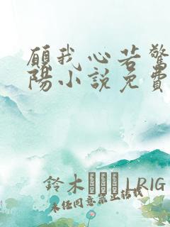 愿我心若惊鸿骄阳小说免费阅读