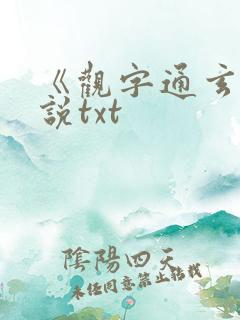 《观字通玄》小说txt