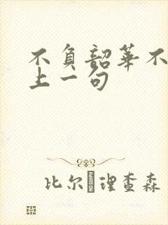 不负韶华不负卿上一句