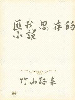 匪我思存的全部小说