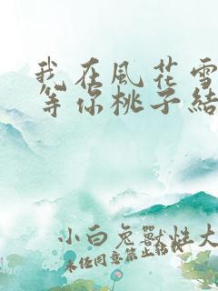 我在风花雪月里等你桃子结局