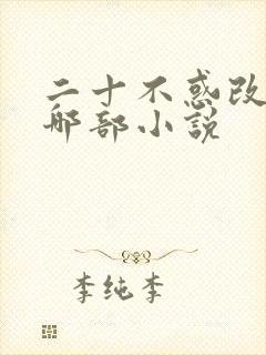 二十不惑改编自哪部小说