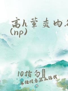 高h荤爽肉欲文(np)