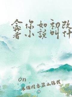 念你如初改编原著小说叫什么