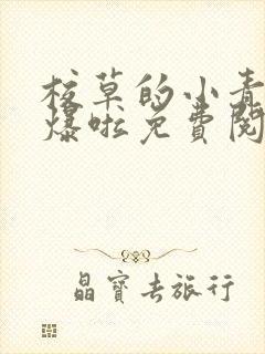 校草的小青梅甜爆啦免费阅读