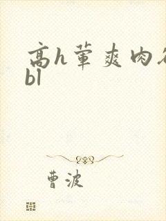 高h荤爽肉欲文bl