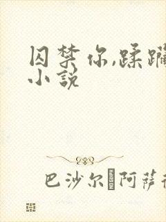 囚禁你,蹂躏你小说