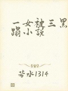 一女被三黑人糟蹋小说