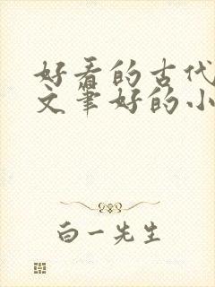 好看的古代言情文笔好的小说