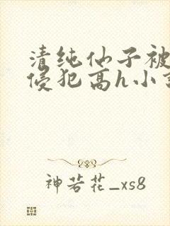 清纯仙子被强行侵犯高h小说