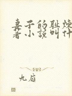 妻子的耻炼狱原著小说叫什么