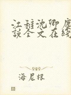 江稚沈卿尘的小说全文在线阅读无弹窗