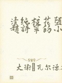 清纯校花堕落记赵诗宁的小说全文阅