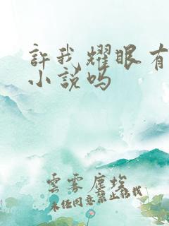 许我耀眼有原著小说吗