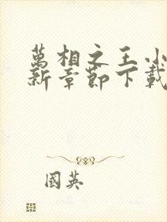 万相之王小说最新章节下载