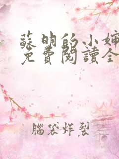 苏明的小婶小说免费阅读全文无弹窗